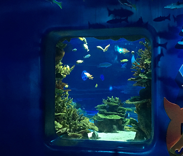 水族馆案例