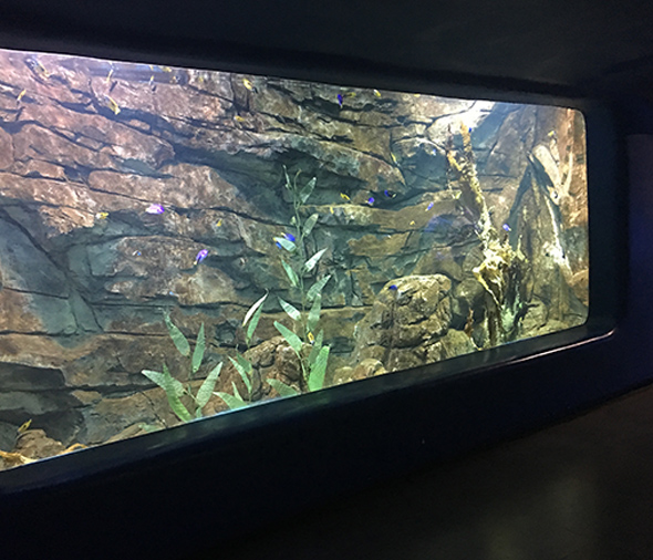 水族馆案例
